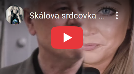 Skálova srdcovka (51): Hrozí Západu občanské války? Do Kollerovy pasti poleze jen pitomec.