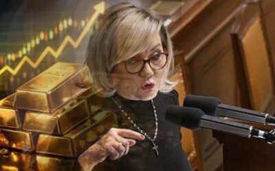 Našli jsme pro vás 12.2.2026