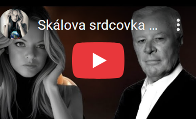 Skálova srdcovka (50): Kšeftu nad hroby ujíždí vlak. Debakl nespasí ani šplhounský křivák  