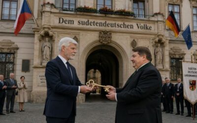 Našli jsme pro vás 26.5.2026