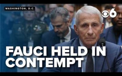 Senate panel votes to hold Fauci in contempt